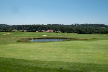 Güneşli bir günde çam ormanıyla çevrili yeşil bir golf sahasının ortasındaki su gölü.