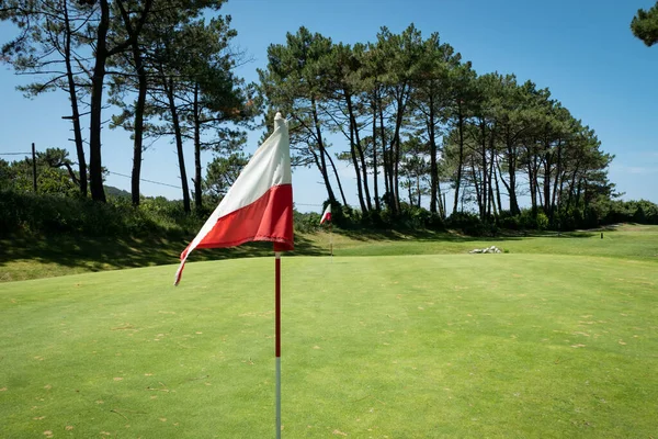 阳光灿烂的日子里 高尔夫球场中央的红白相间的旗帜 前面是一片森林 — 图库照片