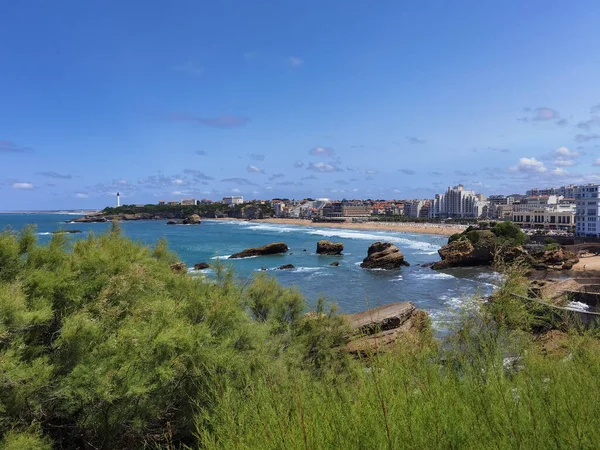 stock image Between some tree branches, the beach and part of the city of Biarritz in the Basque Country, France