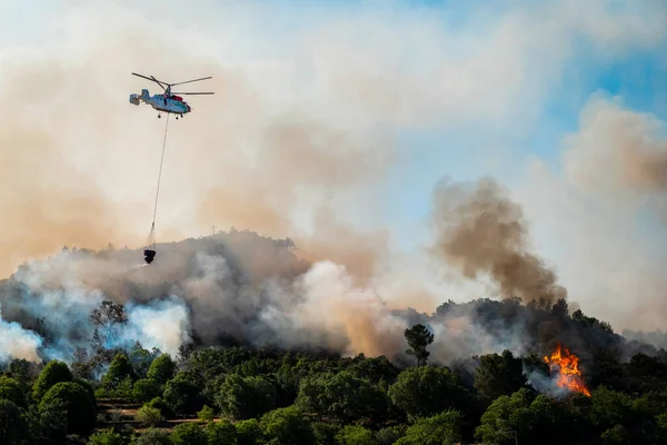 Helicopter transporting water to put out a forest fire burning in a pine forest leaving a large cloud of black and white smoke