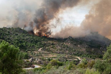 Büyük alevlerle dolu orman yangını havada büyük bir duman bulutu ve ona giden yolda bir itfaiye aracı ile tepeyi yakıyor.