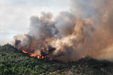 Büyük alevlerle dolu orman yangını, havada büyük bir duman bulutuyla tepeyi yakıyor.