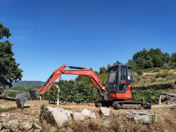 Üzüm bağında tarım yapmak için çiftliğin ortasında kepçe doldurucu.
