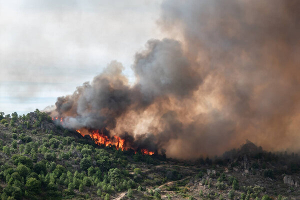 Лесной огонь с большим пламенем горит холм с огромным облаком дыма в воздухе