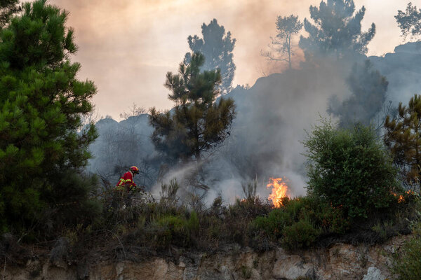 Пожарный в середине горящего холма со шлангом тушит огонь, который горит и оставляет облако дыма вокруг него