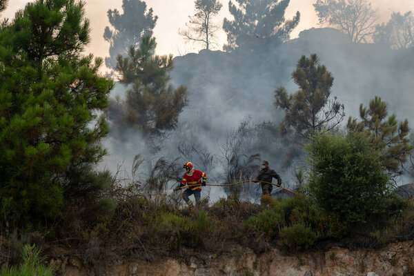 Пожарный и житель посредине горящего холма со шлангом тушат огонь, который горит и оставляют вокруг себя облако дыма