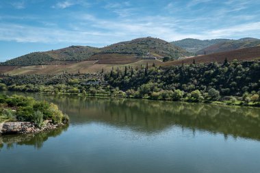Tepeler, dağlar, üzüm bağları ve bir sürü ağaç arasında, Foz Tua 'daki Douro nehri, Tras os Montes Portugal