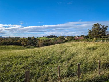 Hayvanların çitleri ve otlağı olan kırsal alan ve arka planda bazı evler