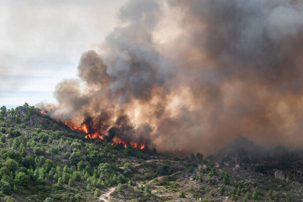 Большой лесной пожар с большим пламенем сжигает гору оставляя огромное облако дыма в воздухе