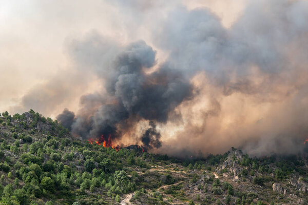 Экологическая катастрофа: Опустошительный огонь и надвигающееся пламя поглощают гору, оставляя в воздухе густое облако дыма