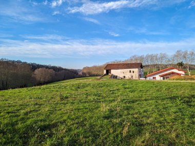 Serene kırsal: Parlak güneşin altında ormanla kaplı bir ahır