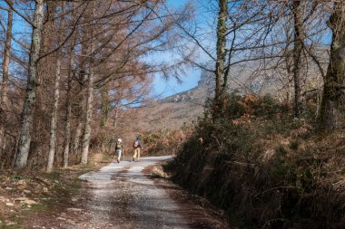La Rhune 'nin çarpıcı doğasını keşfeden, ağaçlarla çevrili ve Bask ülkesinin görkemli dağlarıyla çevrili çakıllı bir patikada yaşayan turist çift.