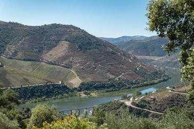 Görkemli ufuk: Uzak bir köprüye sahip görkemli Douro Nehri, Foz Tua, Portekiz 'deki dağlar, tepeler ve üzüm bağlarıyla çevrili.