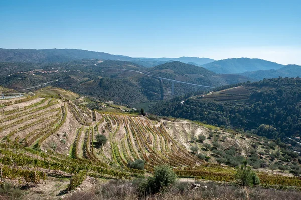 Tepeler ve dağlar arasında, yamaçlardaki üzüm bağları, çam ormanları, tepede küçük bir köy ve Portekiz 'in Tras os Montes kentindeki dağları birbirine bağlayan bir köprü.