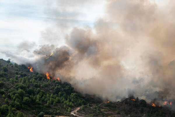 Критическая миссия в небе: Пожарный самолет сталкивается с разрушительным лесным адом под дымовой завесой