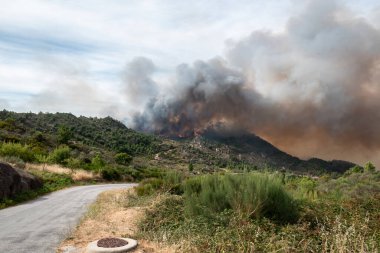 Yanan bir geçitten geçen yol, yanan bir dağın kenarından, alevler ve duman bulutlarıyla çevrili.