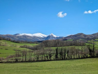 A charming mix of countryside with green pastures and snow-capped mountain tops in Larrau in the Basque Country, France clipart