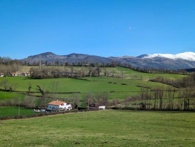 Huzurlu manzara: Fransa 'nın Bask Bölgesi' nde, Larrau 'da yeşil çayırları ve kar kaplı dağları olan kırsal bölge