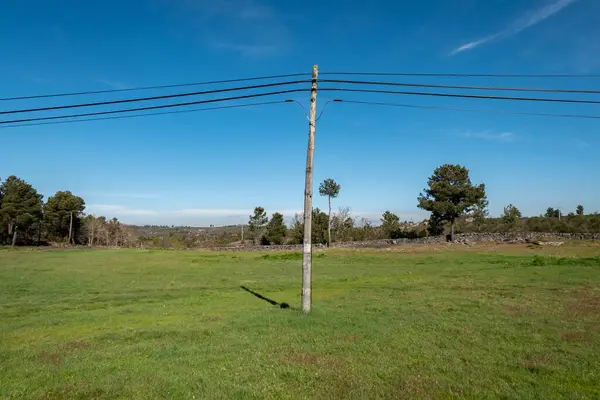 stock image Between green fields: A wooden pole entwined with landline telephone cables