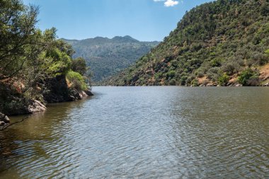 Dağlar, ormanlar ve çalılar arasında Portekiz, Trs os Montes 'teki Tua nehri.