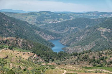 Tepeler, dağlar ve bazı üzüm bağları arasında, arkadaki Tua nehri Tras os Montes, Portekiz 'de