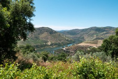 Doğa, dağlar ve mavi gökyüzünün ortasında, Douro Nehri Foz Tua, Portekiz