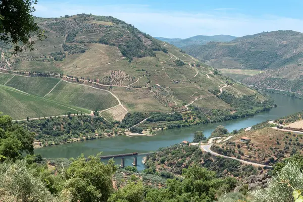 stock image In the middle of mountains, the Douro River with a bridge where the train passes in Tras os Montes, Portugal