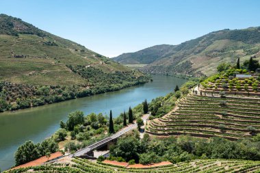 Portekiz 'in Tras os Montes kentindeki Douro nehri ve üzüm bağları ile kırsal alan