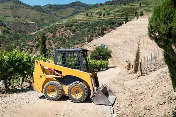 Kırsal bir çiftliğin ortasında, büyük üzüm bağları olan kompakt yükleyici.