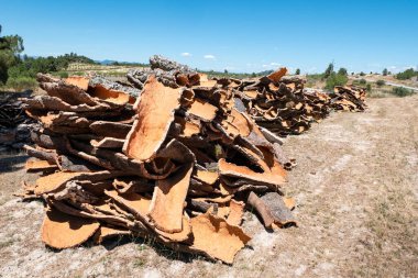 Portekiz 'de endüstriyel uygulamalar için toplu mantar yığını