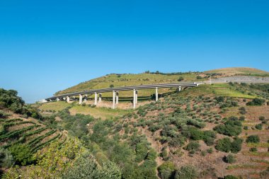 Portekiz 'in dağlık arazisinin ortasındaki kırsal bir arazide köprü.