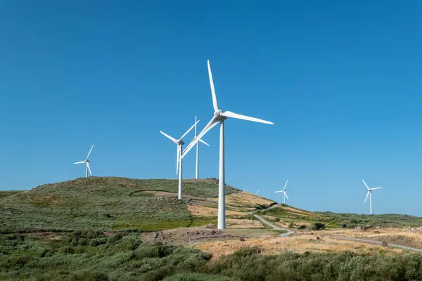 Doğa ve teknoloji dengede. Portekiz 'deki Serra do Caramulo rüzgar çiftliği.