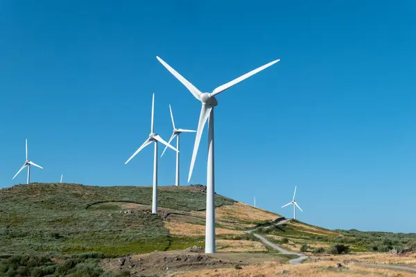 Doğanın ortasında, Serra do Caramulo rüzgar çiftliği, Portekiz 'de sürdürülebilirliğin bir örneği.