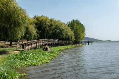 Portekiz 'de güneşli bir günde, Pateira de Fermentelos gölünün kıyısında ağaçtan bir patika.
