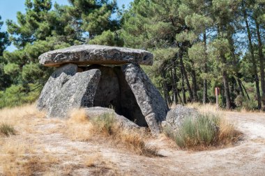 Alijo 'daki Anta da Fonte Coberta, Portekiz' in doğal güzelliğiyle uyum içinde tarih öncesi bir hazine.
