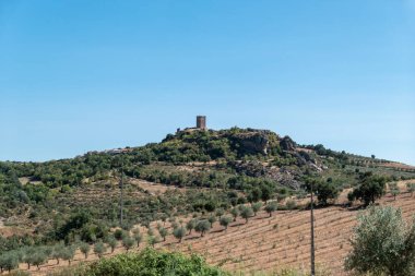 Portekiz 'in Tras os Montes kentindeki zeytin koruluğu tarlalarıyla çevrili Penas Roias Kalesi' nin panoramik manzarası.