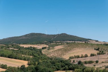 Arka planda rüzgar türbinleri olan dağlar. Badem ağaçlı tarım tarlası. Güneşli Tras os Montes, Portekiz 'de Sürdürülebilir Kırsal Manzara