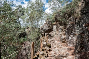 Passadios 'un sık bitkileri arasında ahşap çitli taş patika Vila Real, Portekiz' de Corgo yapar.