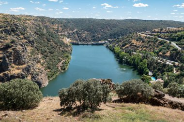 Dağlarla ve yemyeşil topraklarla çevrili Portekiz 'deki Douro Nehri üzerindeki Miranda do Douro hidroelektrik barajı.