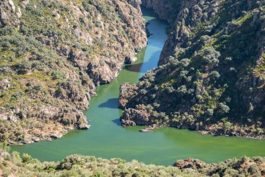 Dağların arasında, Picote 'deki Douro Nehri, Miranda do Douro, Portekiz