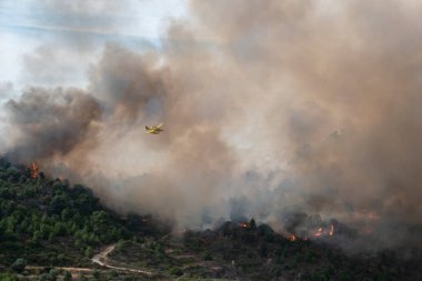 Large forest fire with firefighting aircraft over a large cloud of smoke clipart