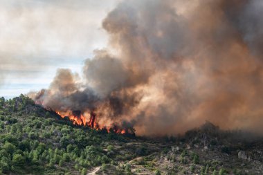 Forest fire in mountainous area with dense smoke and intense flames burning the entire forest clipart