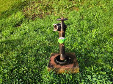 Yeşil bir bölgedeki yangınları önlemek için yangın musluğu ya da yangın musluğu çimlerin yanında.