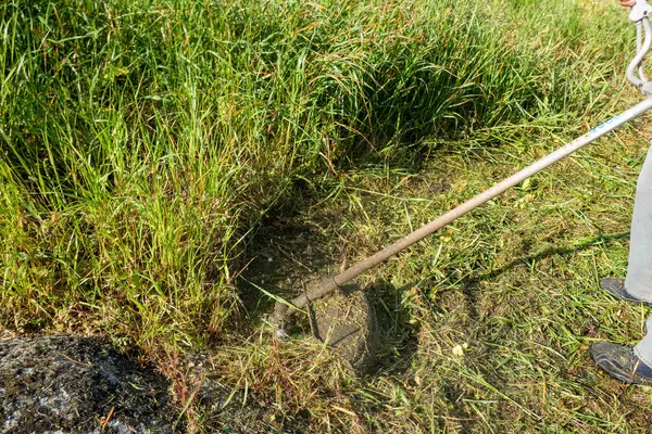 Kırsal bir arazide yabani otları kesme çabasıyla karşı karşıya kalan fırçalı çiftçi