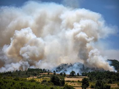 Dağlık bir bölgede orman yangını, havada yoğun duman ve orman boyunca yanan yoğun alevler.