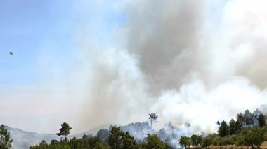 Yoğun bir ormanın ortasında, alevlerin üzerine su düşürmek için havada uçuşan itfaiyeci uçaklarıyla birlikte bir orman yangını.