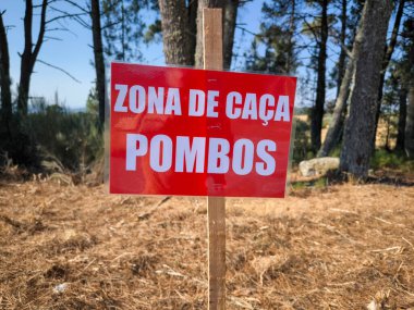 Güneşli bir günde, ormanın ortasında Portekizce 