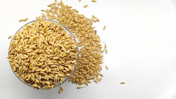 Organik çeltik taneleri, cam kasede öğütülmemiş pirinç beyaz arka planda izole edilmiş. Boşluğu kopyala