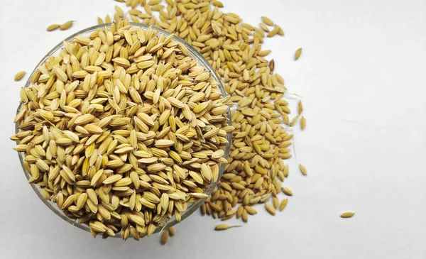 Organik çeltik taneleri, cam kasede öğütülmemiş pirinç beyaz arka planda izole edilmiş. Yasemin pilavı 