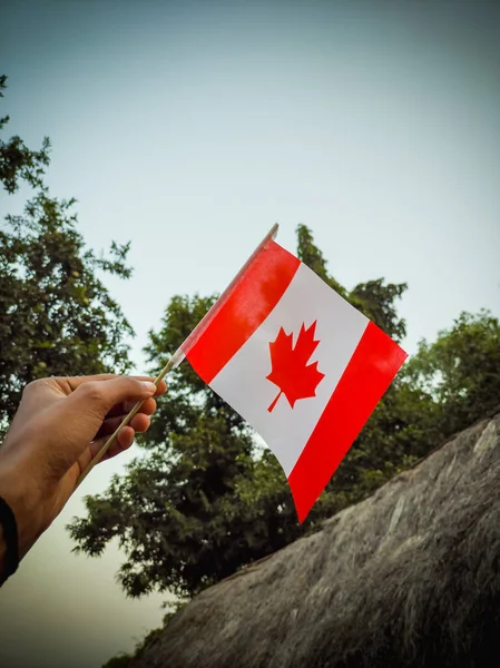 Man hand waving Canada flag against the sky close-up. Guy holding Canadian flag and celebrating national Canada day on 1st july, Copy space
